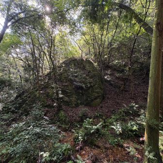 この辺りの雰囲気？空気？なんて言うんだろう。
分からないけど、癒され成分がいっぱい浮遊してた気がする🪽