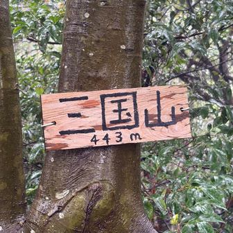 ここでターンします
