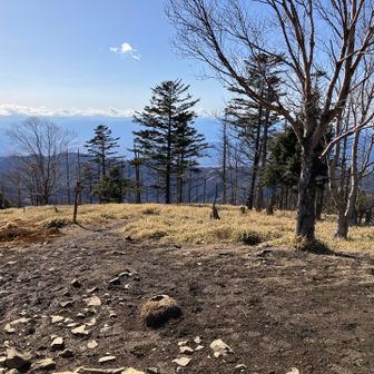 14:30
そろそろどこにテント張ろうか
気にしながら歩く😅
ここも適地だけど、風が通るのと
少し時間が早いので進むことに