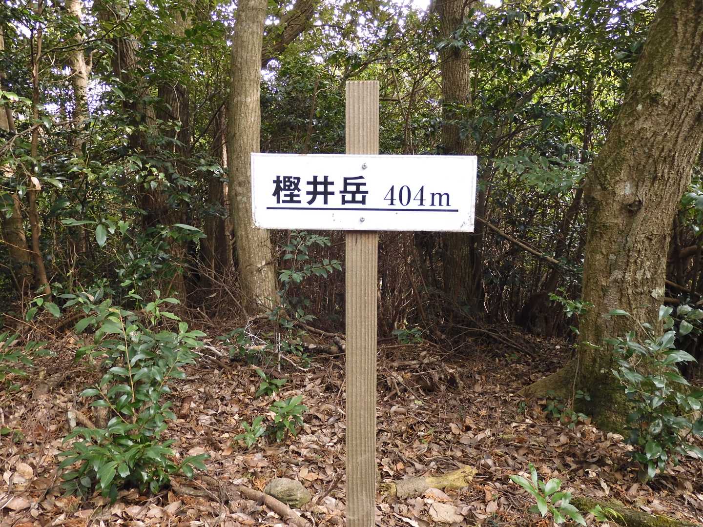 樫井岳（かしいだけ 404ｍ）山頂 
※眺望無し  
これより同名の三角点「樫井嶽」を目指します
