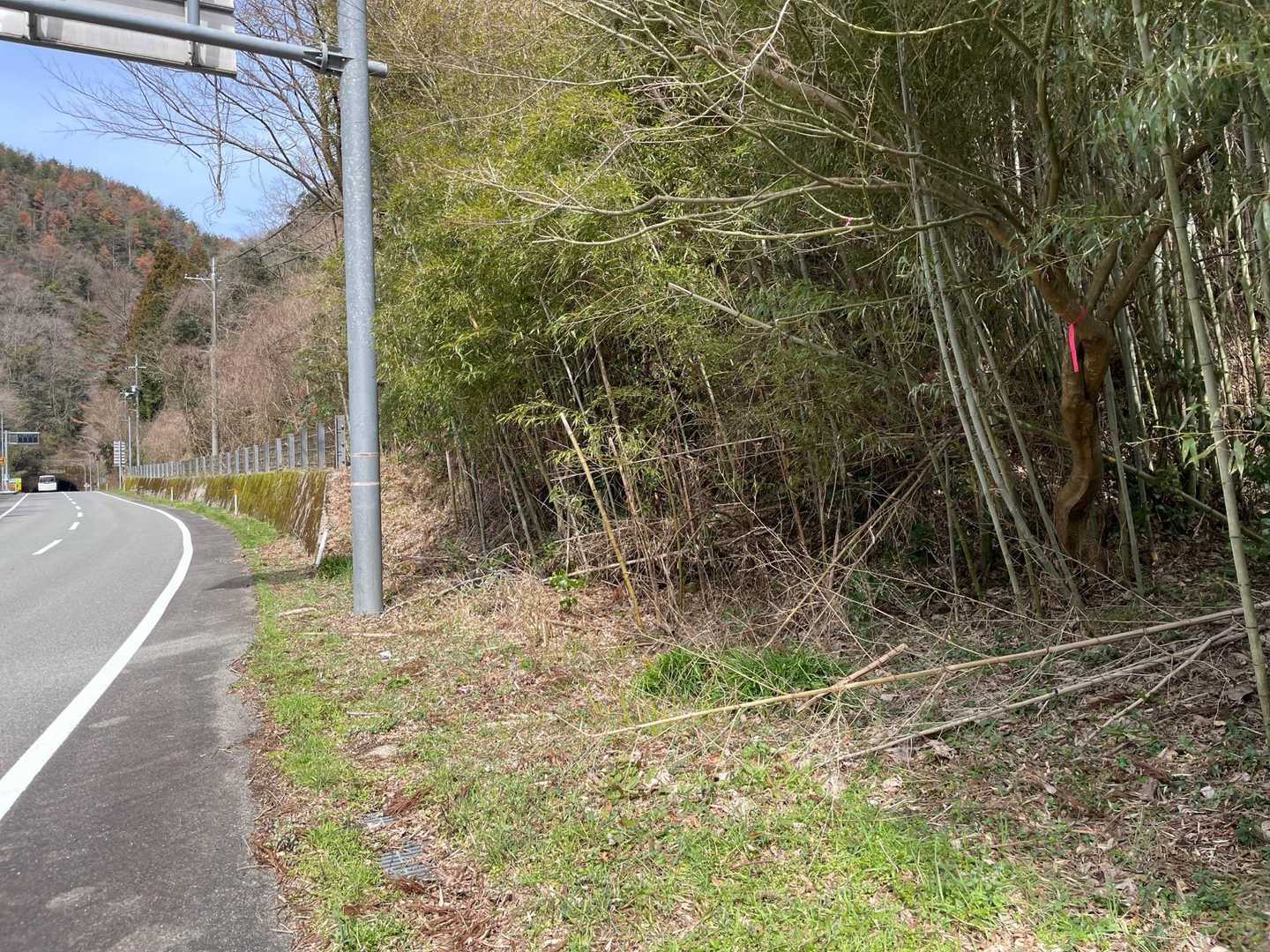 ここが登山口👆