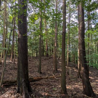 振り返って、山頂の様子です
滑りやすいので、歩く所を考えながら…
頑張りました