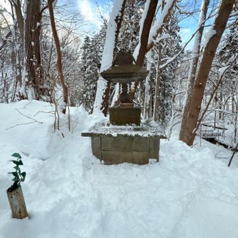 山神様🤍今年もよろしくお願いします