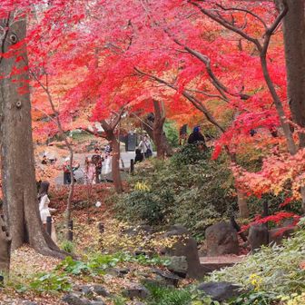 紅葉山。標高20m！