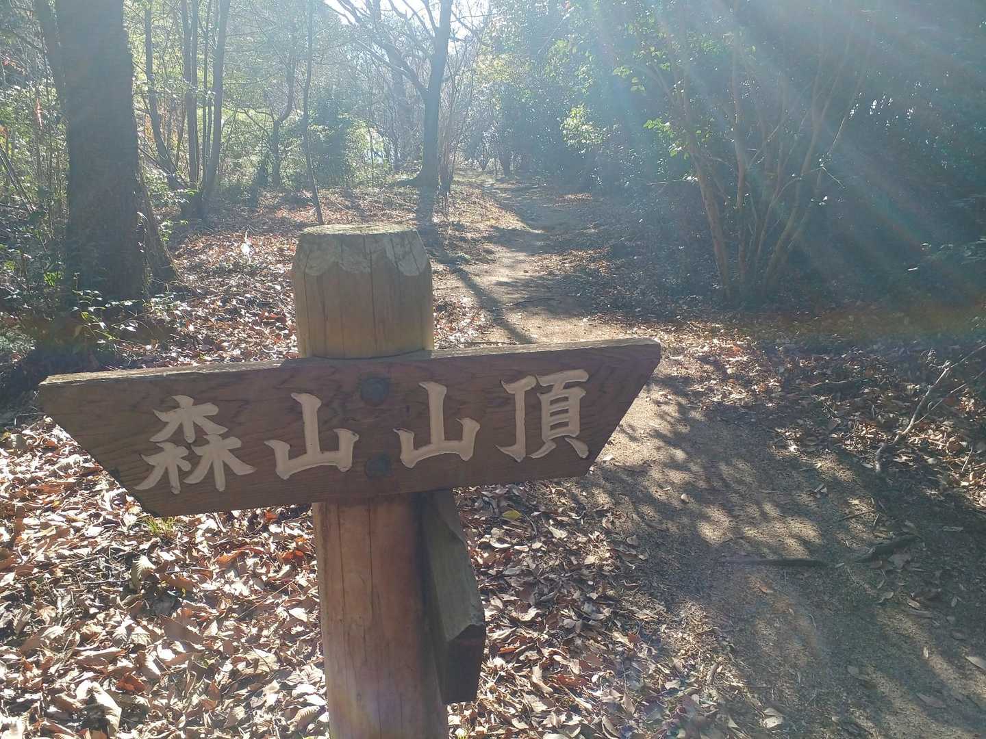 この奥へ