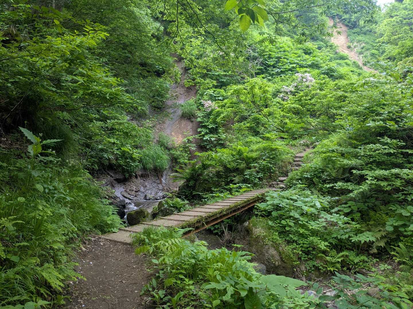 花立コース登山口-鋸山 往復コースの写真