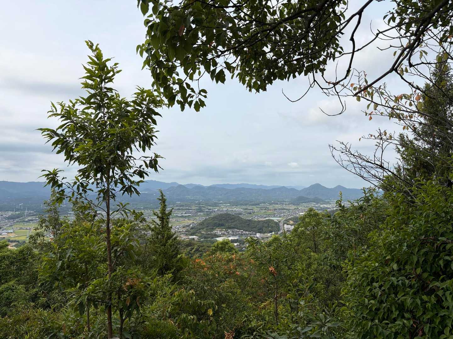 龍王宮 周回コースの写真