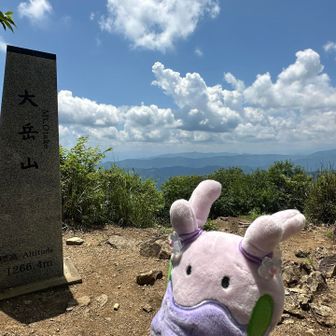 やっと登頂！初めての標高1000m超えです！