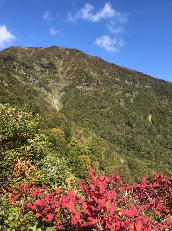 浅草岳の写真
