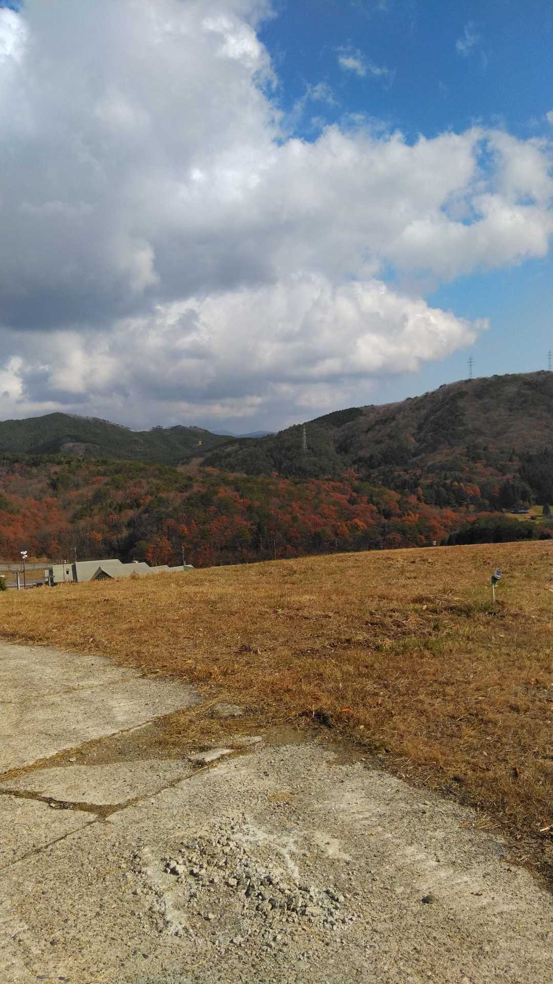 となりの山の紅葉の