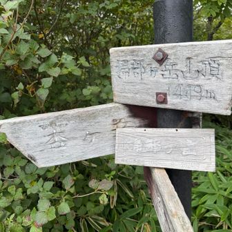掃部ヶ岳到着
去年来た時にはドキンちゃんが「かもーん」って言ってる看板があったはずが見当たりませんでした