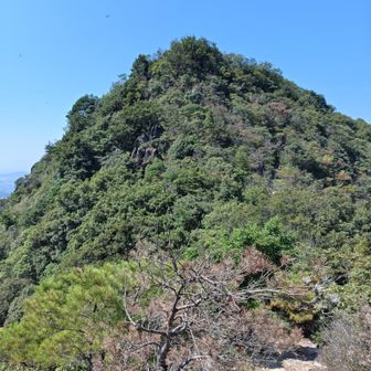 あれっ、ここどこ？道間違えた!!…笑