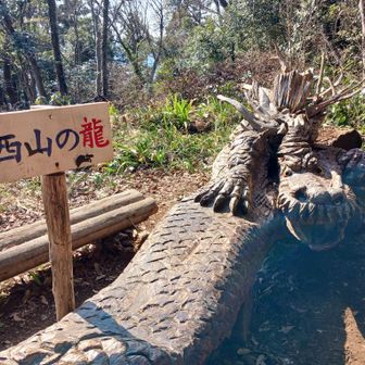 龍のベンチ