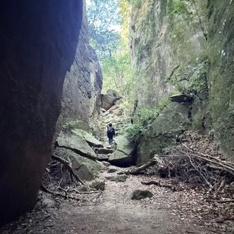 空池手前で迷子になってしまった😰💦💦💦
どうにか登山道に戻れました😮‍💨