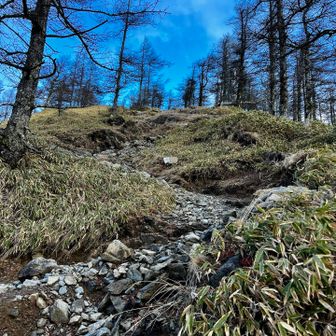 小雲取山までもなかなかの急登😁
でも楽しい👍