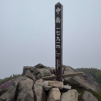 着いたー