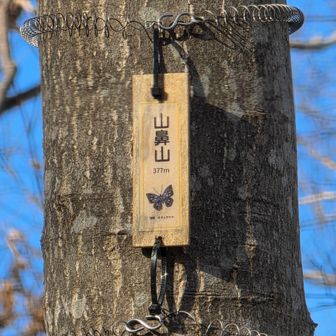 山鼻山を通過して