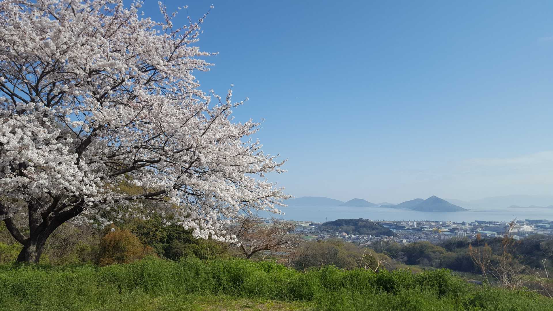 のどかな風景に癒されます。