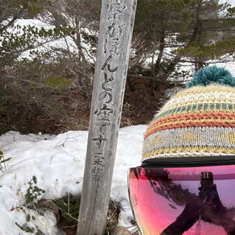 ほんとの空どこ？