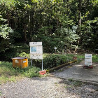 下山〜
ここから神社まで40分歩きます😂