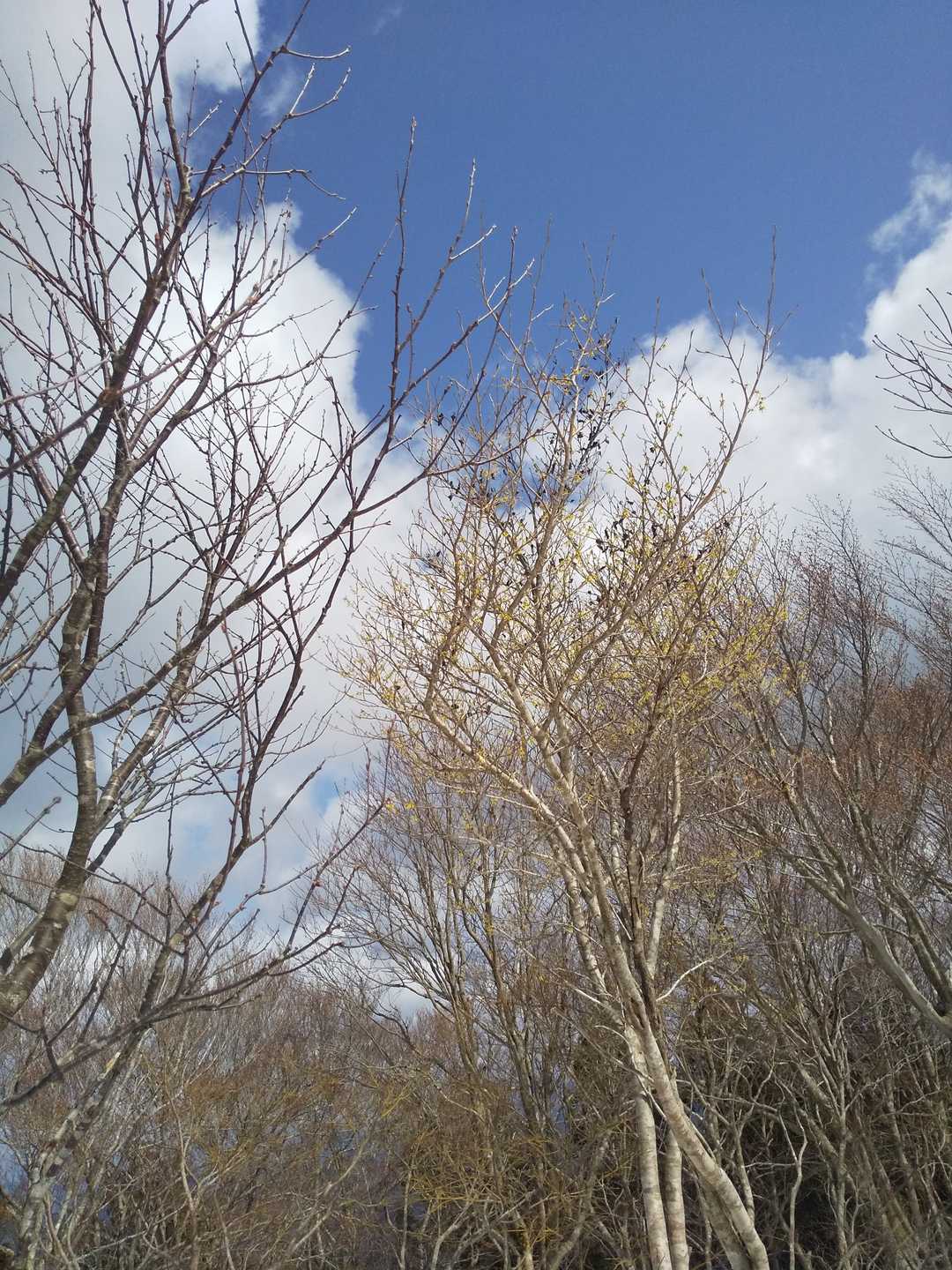 でも
ここが山頂みたい😌
たのし！