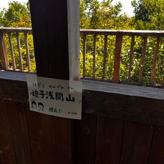 ここにも立派な東屋
英虞湾一望と有るが木が伸びて見えない