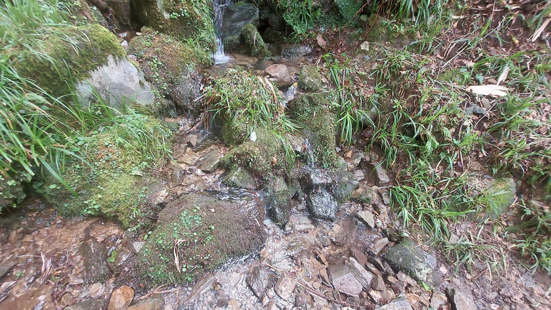小さな沢があります！
水はとてもきれいですよー