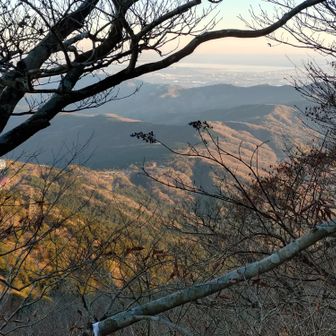 夕陽を浴びて、山肌がいつもと違う趣きになっていました✨