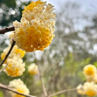 会えて嬉しかった💓
また来季に来ますね〜🥰