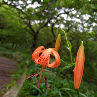 そしてみんな大好き
覚満淵へ