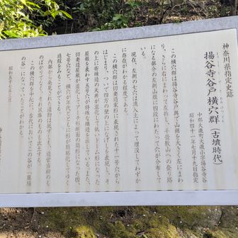 大磯は古代に相模の国府があり、古代から人が多く居住し有力者が住んでいたと考えられます。
高麗山は朝鮮半島からの渡来人たちが住んだ場所です。

このような時代背景のあった大磯ですから、横穴墓は無数にあります。
大磯に横穴墓は１０００基以上はあるのではないかと推測されているそうです。そのうち現存しているものは６００程度、埋もれてしまったものもありますので、見ることができるのは２００程度といわれています。
湘南アルプスは墓場の谷を繋げた山々の様です。