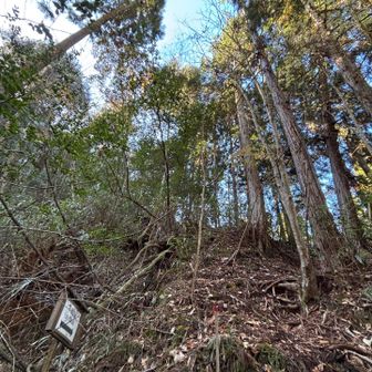 弁天岳に向けて、ちょっと急登