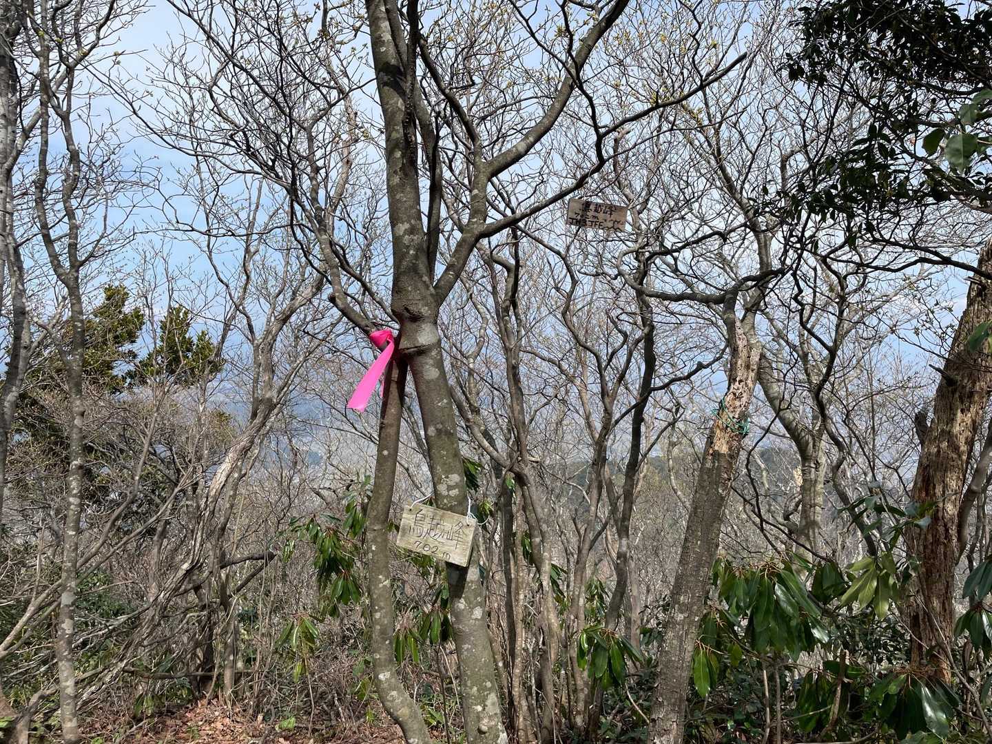 オウム岩から15分ほど。
今日イチ高い山、鳥越峰（702m）です。
これでも今年最高峰😅