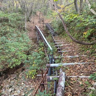 北温泉バス停への道はこれであってるのだろうか