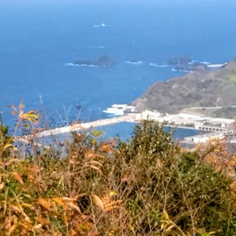 恵曇漁港と青々とした日本海♥️