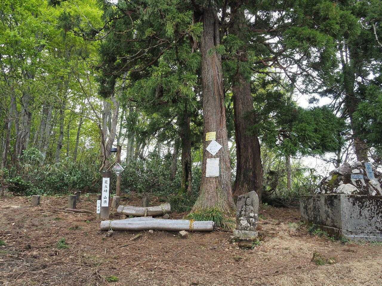 鋸山・花立コース登山口-花立峠-枡形山-萱峠-萱峠コース入 周回コースの写真