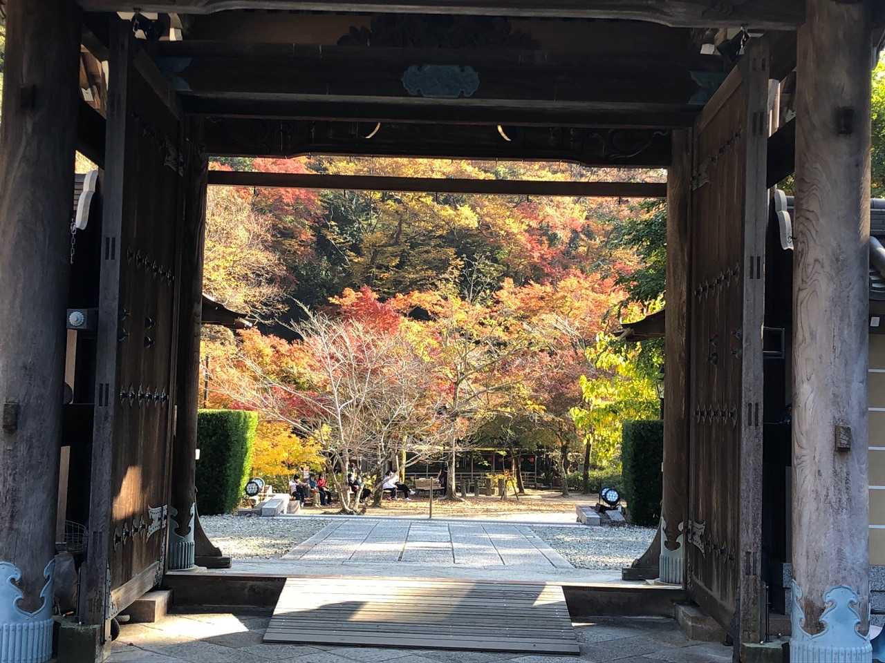 (さらにオマケ)