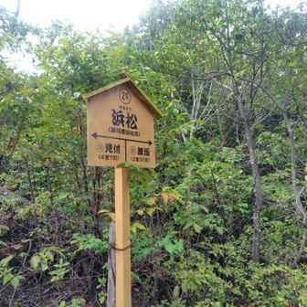 静岡ツアー2枚目
先日行ったところですね
