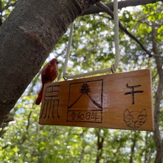 裏、飾りの鳥さんもかわいい