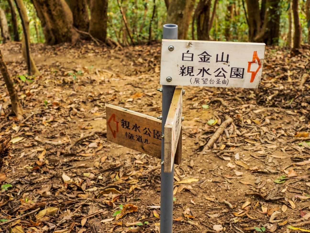 近道・急登コース通って戻ります。
