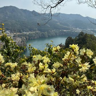 めちゃくちゃ良い景色！