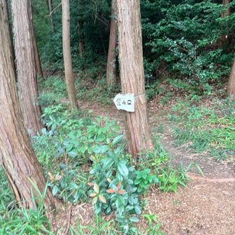 登山口