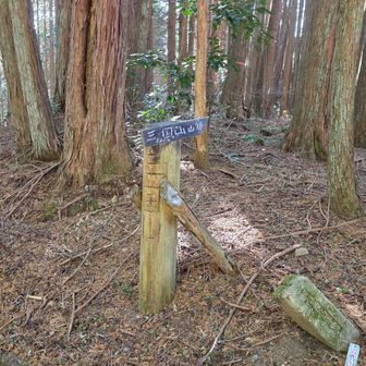 ここを上がると三国山だって。
その前にもう1つ気になる施設。