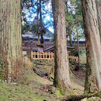 コッソリ抜けて