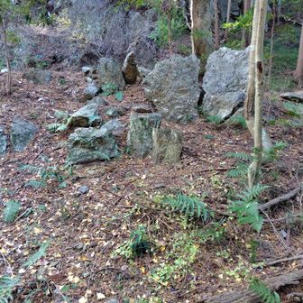神社跡。天覚山の山頂はスルーしました。