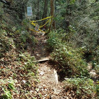 通行止め。ここを右に下りると洗心滝です