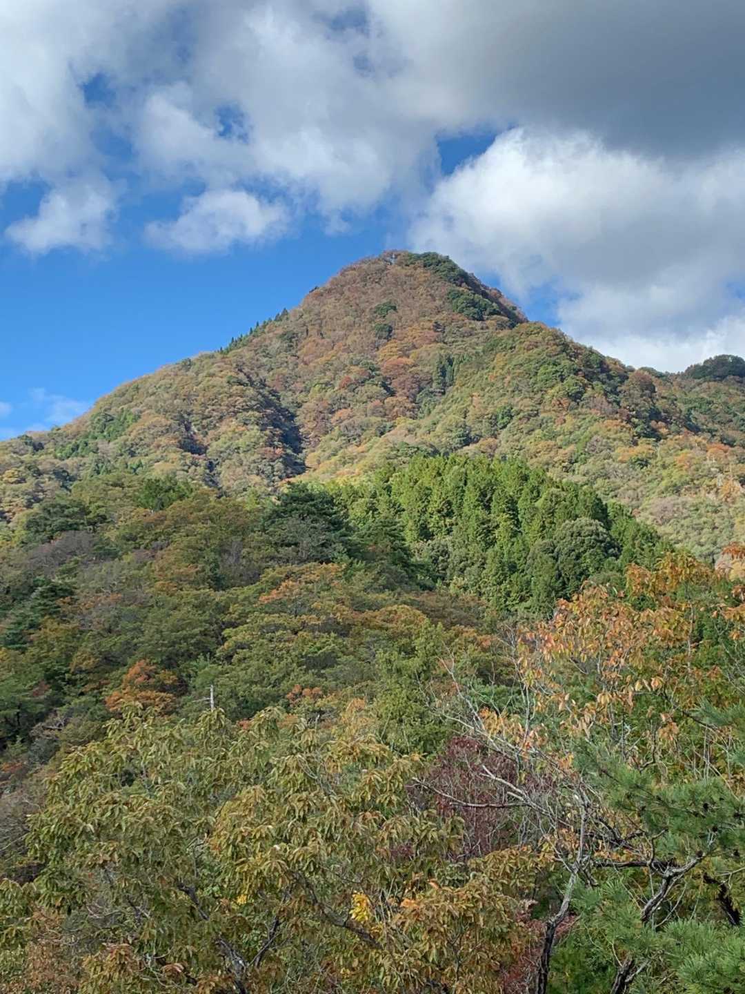 振り返って明神山、美しい
