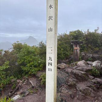 水沢山　登頂