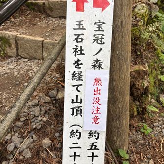 時間的に宝冠ノ森はまた今度⛰️