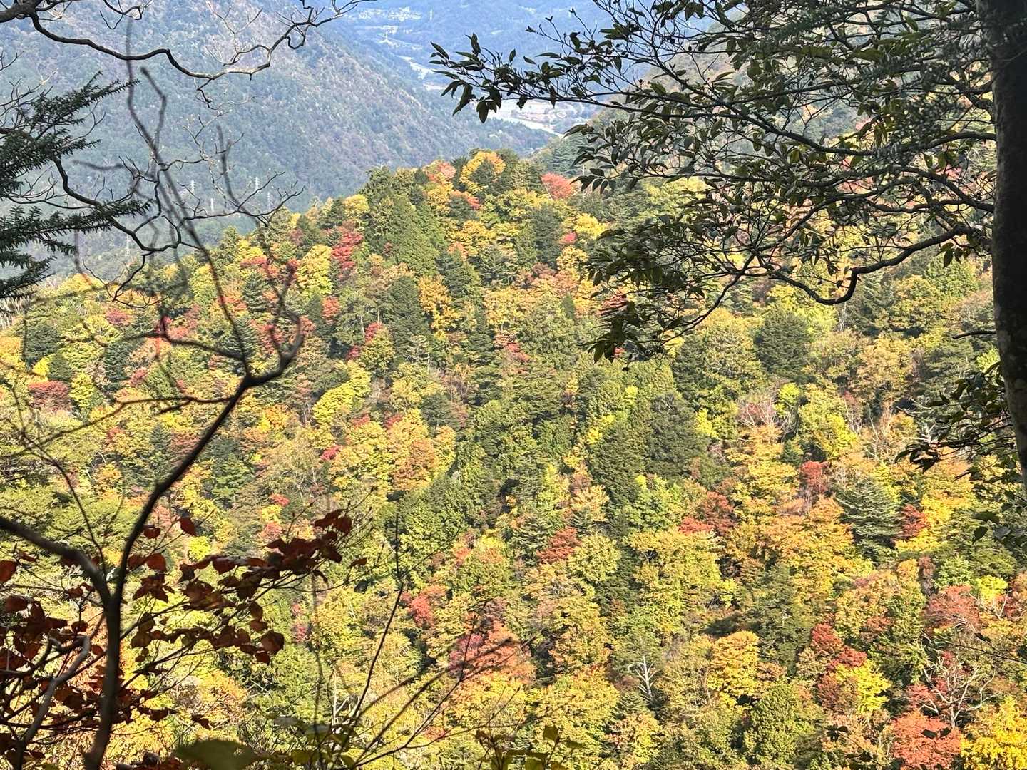 糸瀬山 往復コースの写真